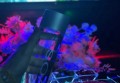 上海哪里夜场ktv招聘包厢气氛组,安排住宿吗
