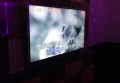 上海奉贤区庄行镇附近ktv招聘现场DJ,求职应聘