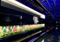 上海崇明区附近夜总会招聘包厢管家,跟领队还是直招