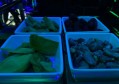 上海浦东新区北蔡镇附近酒吧招聘包厢陪唱,(不用交台费)