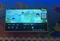 上海奉贤区金汇镇附近ktv招聘包厢管家,有没有职位上升空间
