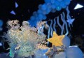 上海虹口区广中路街道附近酒吧招聘商务接待,加班双倍工资吗？