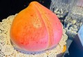 上海给小费多的酒吧招聘包厢管家,是否可以接受调休或者请假？